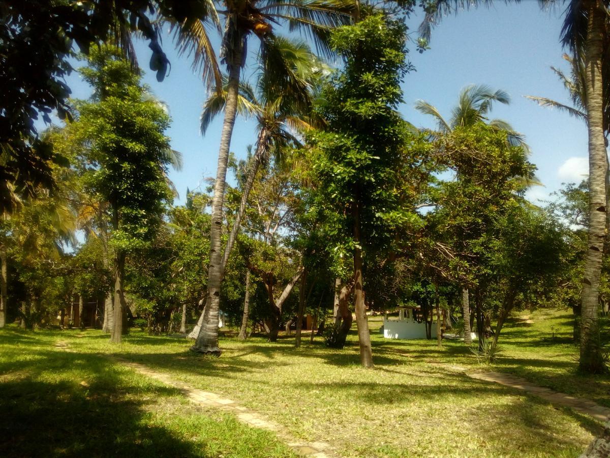 Turtle Cove Lodge And Yoga Shala Tofo Luaran gambar