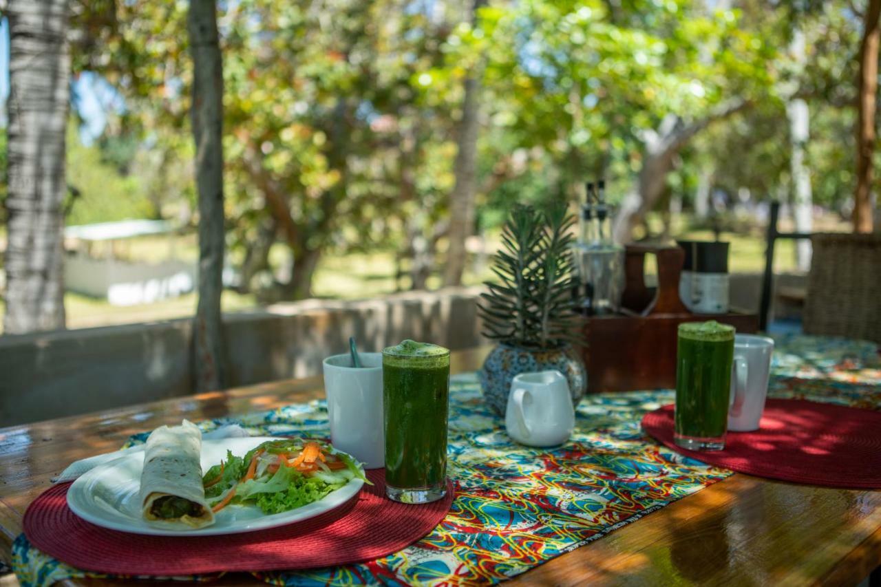 Turtle Cove Lodge And Yoga Shala Tofo Luaran gambar