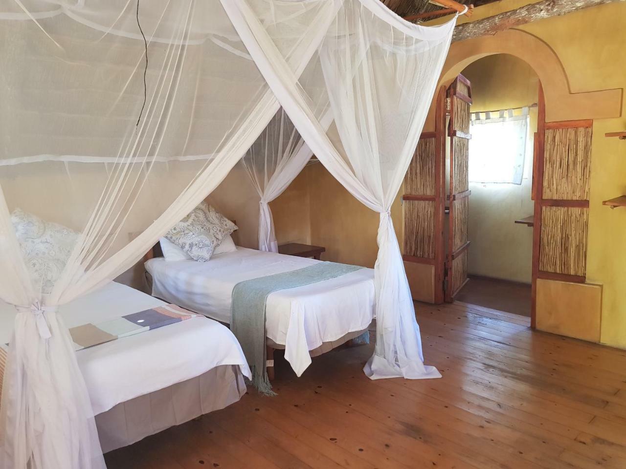 Turtle Cove Lodge And Yoga Shala Tofo Luaran gambar