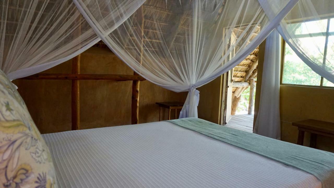 Turtle Cove Lodge And Yoga Shala Tofo Luaran gambar