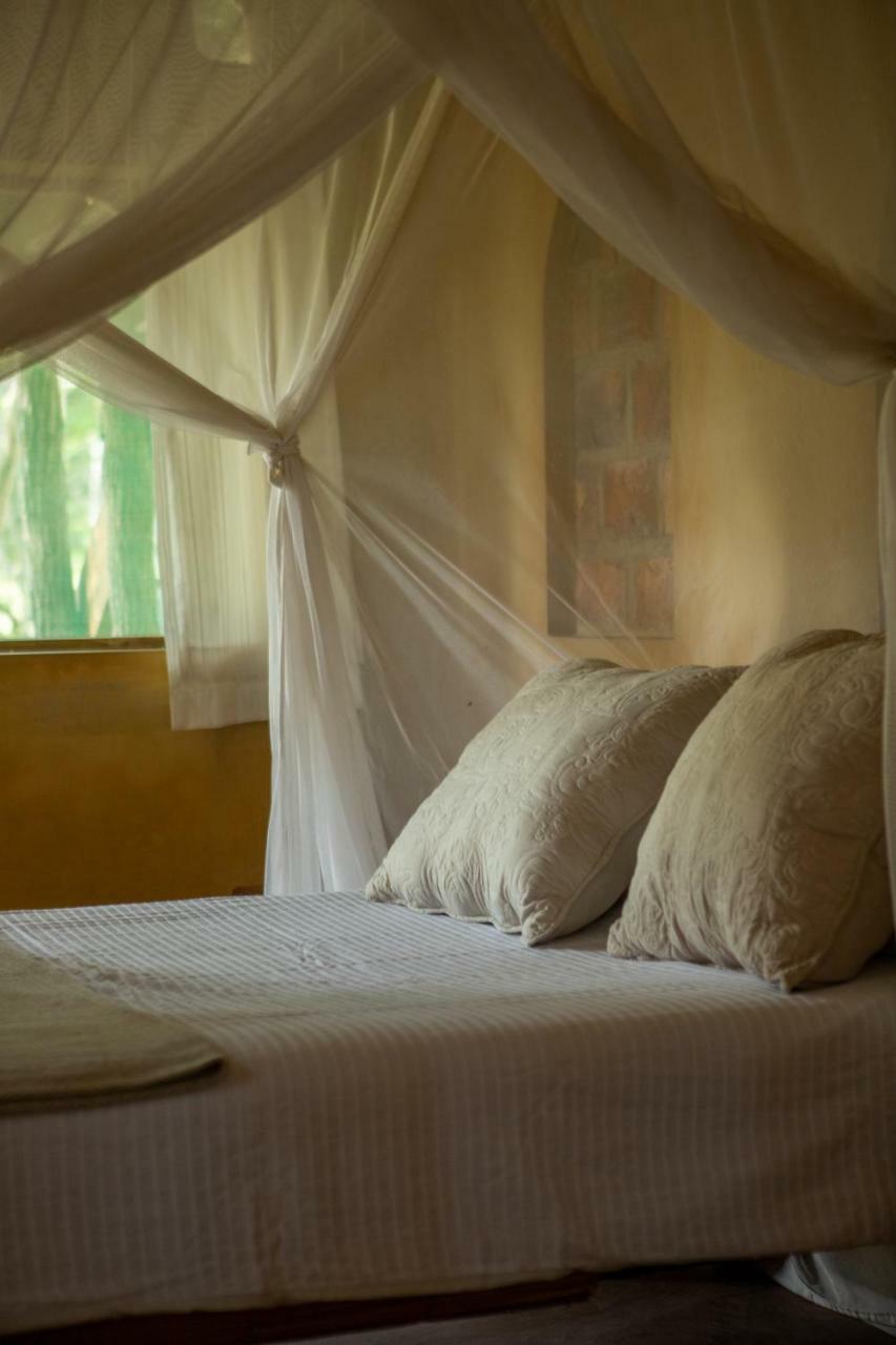 Turtle Cove Lodge And Yoga Shala Tofo Luaran gambar