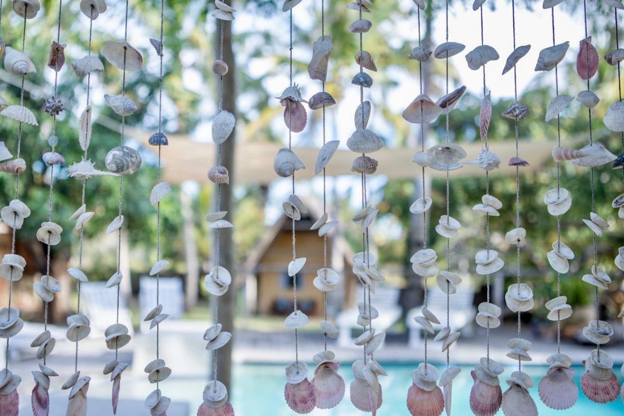 Turtle Cove Lodge And Yoga Shala Tofo Luaran gambar