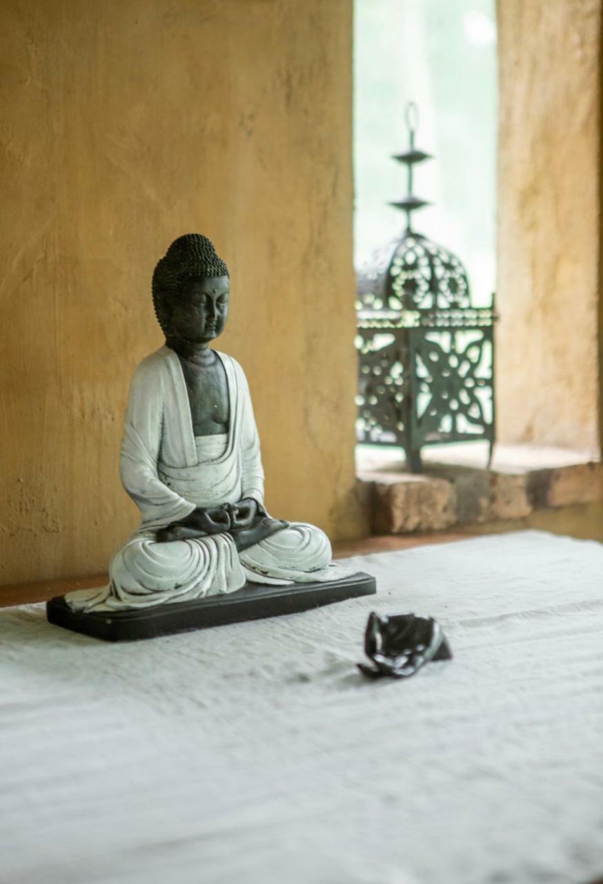 Turtle Cove Lodge And Yoga Shala Tofo Luaran gambar