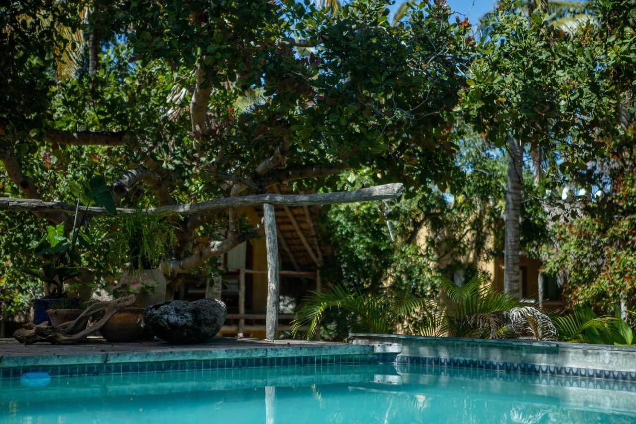 Turtle Cove Lodge And Yoga Shala Tofo Luaran gambar