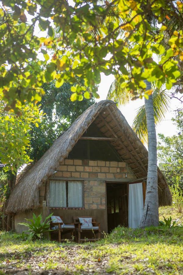 Turtle Cove Lodge And Yoga Shala Tofo Luaran gambar