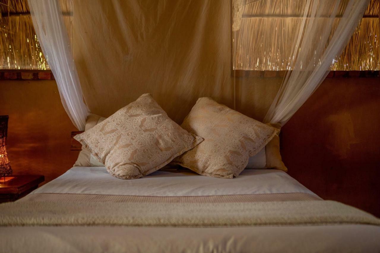 Turtle Cove Lodge And Yoga Shala Tofo Luaran gambar